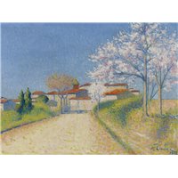 Дорога в Кайо