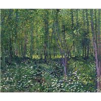 Портреты картины репродукции на заказ - Деревья, 1887
