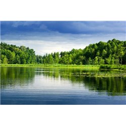Лес вокруг озера - Фотообои природа|озера - Модульная картины, Репродукции, Декоративные панно, Декор стен