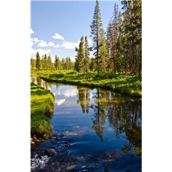 Ручей - Фотообои природа|озера - Модульная картины, Репродукции, Декоративные панно, Декор стен