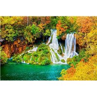 Портреты картины репродукции на заказ - Лес вокруг водопада - Фотообои природа