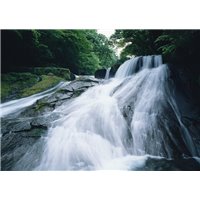 Портреты картины репродукции на заказ - Лесной водопад - Фотообои водопады