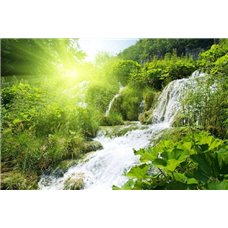 Картина на холсте по фото Модульные картины Печать портретов на холсте Водопад в зеленом лесу - Фотообои водопады