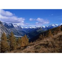 Портреты картины репродукции на заказ - Горы снег деревья - Фотообои горы
