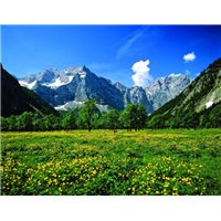 Портреты картины репродукции на заказ - Поле и горы - Фотообои горы