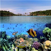 Морское дно - Фотообои Море|подводный мир