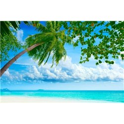 Пальма на берегу моря - Фотообои Море - Модульная картины, Репродукции, Декоративные панно, Декор стен