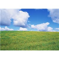 Портреты картины репродукции на заказ - Зеленое поле - Фотообои Небо