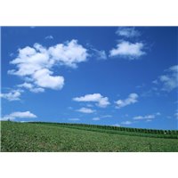 Портреты картины репродукции на заказ - Облака над полем - Фотообои Небо