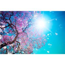 Цветущее дерево - Фотообои природа|деревья и травы - Модульная картины, Репродукции, Декоративные панно, Декор стен