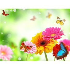 Картина на холсте по фото Модульные картины Печать портретов на холсте Бабочки и герберы - Фотообои цветы|герберы