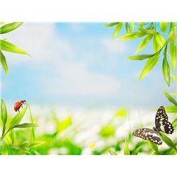 Бабочка на листке - Фотообои цветы|другие - Модульная картины, Репродукции, Декоративные панно, Декор стен