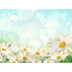 Ромашки - Фотообои цветы|ромашки - Модульная картины, Репродукции, Декоративные панно, Декор стен