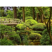 Портреты картины репродукции на заказ - Кусты деревья и мост - Фотообои Японские и просто сады