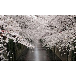 Цветущие деревья вдоль дороги - Фотообои природа|озера - Модульная картины, Репродукции, Декоративные панно, Декор стен