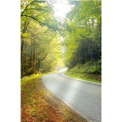 Дорога - Фотообои природа|дороги - Модульная картины, Репродукции, Декоративные панно, Декор стен