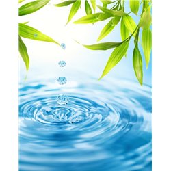 Капли воды - Фотообои цветы|листья - Модульная картины, Репродукции, Декоративные панно, Декор стен