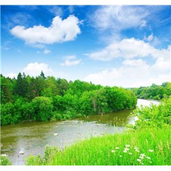 Лес и река - Фотообои природа|реки - Модульная картины, Репродукции, Декоративные панно, Декор стен