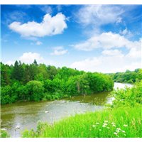 Лес и река - Фотообои природа|реки