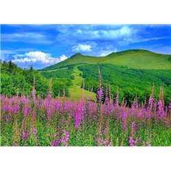 Зеленые холмы - Фотообои природа|поля - Модульная картины, Репродукции, Декоративные панно, Декор стен
