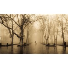 Картина на холсте по фото Модульные картины Печать портретов на холсте Туман - Фотообои Арт