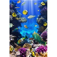 Морское дно - Фотообои Море|подводный мир