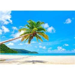 Пальма на берегу моря - Фотообои Море|пляж - Модульная картины, Репродукции, Декоративные панно, Декор стен