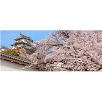 Портреты картины репродукции на заказ - Пагода на фоне цветущей сакуры - Фотообои архитектура|Восток