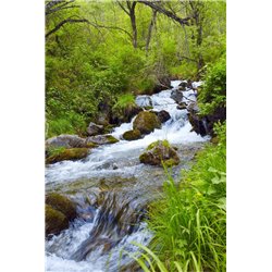 Горный ручей - Фотообои природа|реки - Модульная картины, Репродукции, Декоративные панно, Декор стен