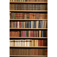 Картина на холсте по фото Модульные картины Печать портретов на холсте Книжный шкаф - Фотообои Интерьеры