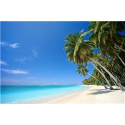 Пальмы на берегу моря - Фотообои Море|пляж - Модульная картины, Репродукции, Декоративные панно, Декор стен