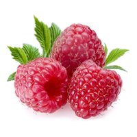 Портреты картины репродукции на заказ - Малина - Фотообои Еда и напитки|фрукты и ягоды