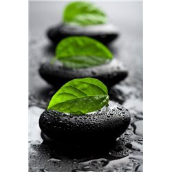 Капли - Фотообои природа|деревья и травы - Модульная картины, Репродукции, Декоративные панно, Декор стен