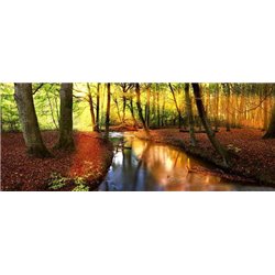 Речка в лесу - Фотообои природа|реки - Модульная картины, Репродукции, Декоративные панно, Декор стен
