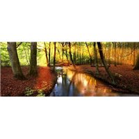 Речка в лесу - Фотообои природа|реки