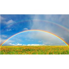 Картина на холсте по фото Модульные картины Печать портретов на холсте Радуга над полем - Фотообои природа|поля