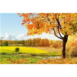 Осеннее дерево - Фотообои природа|осень - Модульная картины, Репродукции, Декоративные панно, Декор стен