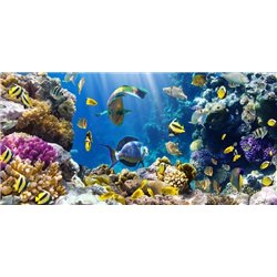 Морское дно - Фотообои Море|подводный мир - Модульная картины, Репродукции, Декоративные панно, Декор стен