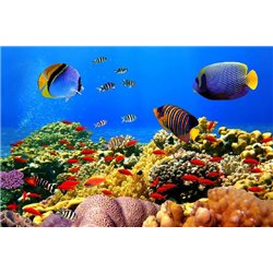 Морское дно - Фотообои Море|подводный мир - Модульная картины, Репродукции, Декоративные панно, Декор стен