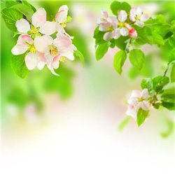 Соцветия и листья - Фотообои цветы|листья - Модульная картины, Репродукции, Декоративные панно, Декор стен