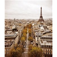 Эйфелева башня, Париж - Фотообои архитектура|Париж
