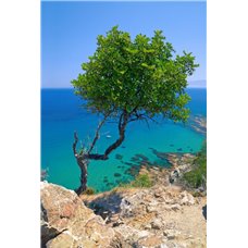 Картина на холсте по фото Модульные картины Печать портретов на холсте Дерево - Фотообои Море|побережье