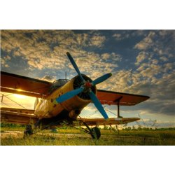 Самолет с пропеллером - Фотообои Техника и транспорт|самолёты - Модульная картины, Репродукции, Декоративные панно, Декор стен