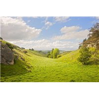 Портреты картины репродукции на заказ - Холмы - Фотообои природа|поля
