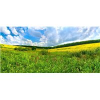 Портреты картины репродукции на заказ - Поле и облака - Фотообои природа|поля