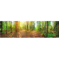 Лесная дорога - Фотообои природа|лес - Модульная картины, Репродукции, Декоративные панно, Декор стен