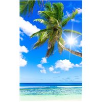 Солнечный берег моря - Фотообои Море