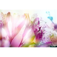 Ирисы и роза - Фотообои цветы|ирисы