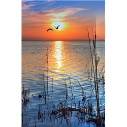 Закат - Фотообои природа|осень - Модульная картины, Репродукции, Декоративные панно, Декор стен