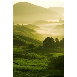 Холмы - Фотообои природа|деревья и травы - Модульная картины, Репродукции, Декоративные панно, Декор стен